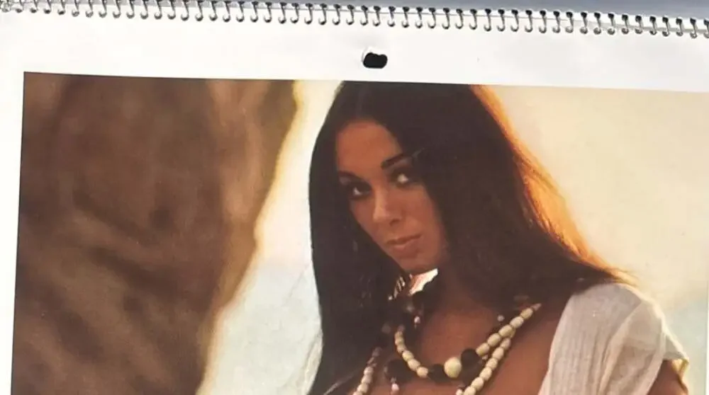 1973 Playboy Wall Calendar